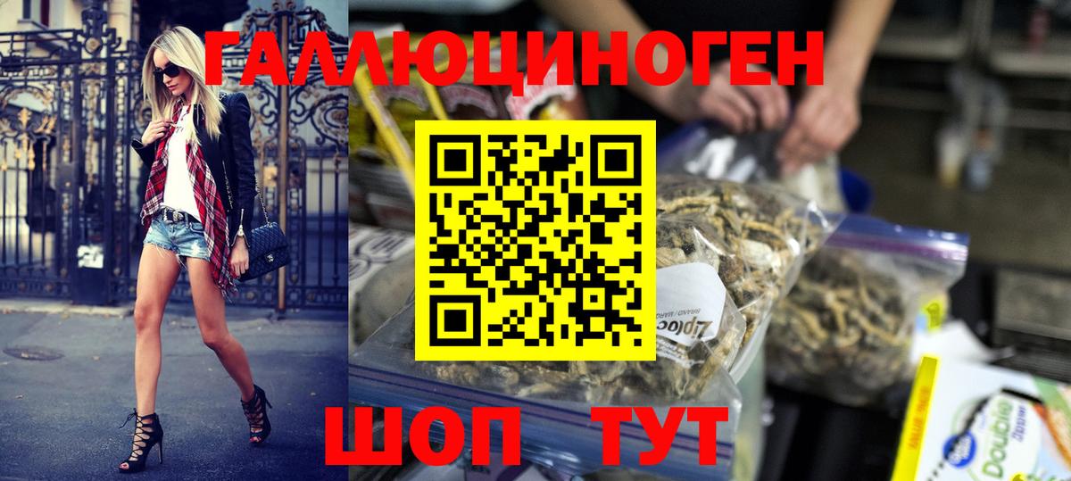 Псилоцибиновые грибы MAGIC MUSHROOMS Великий Новгород